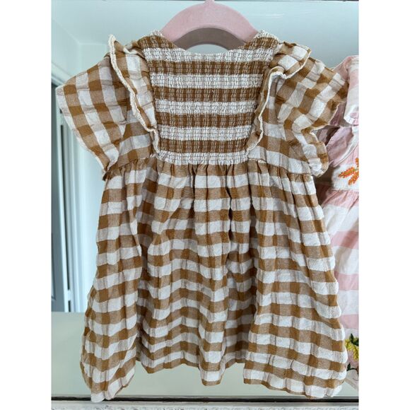 Zara Toddler Girl’s Size 2/3 Bundle of 2 Dresses Gingham Floral Embroidered - Picture 6 of 6